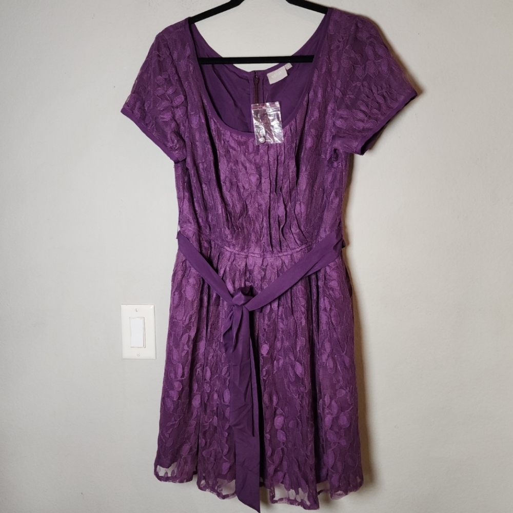 Eshakti Purple Lace Dress Short Sleeve Belted Fit And Flare Pintuck Large New